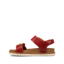 Load image into Gallery viewer, TAOS ON THE DOUBLE RED