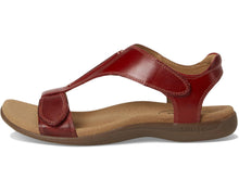 Load image into Gallery viewer, TAOS THE SHOW RED