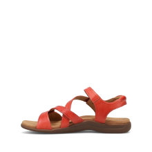 Load image into Gallery viewer, TAOS BIG TIME BRUSCHETTA