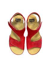 Load image into Gallery viewer, ON FOOT 255 CYNARA RED