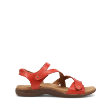 Load image into Gallery viewer, TAOS BIG TIME BRUSCHETTA