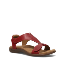 Load image into Gallery viewer, TAOS THE SHOW RED