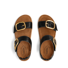 Load image into Gallery viewer, TAOS ON THE DOUBLE BLACK