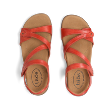 Load image into Gallery viewer, TAOS BIG TIME BRUSCHETTA