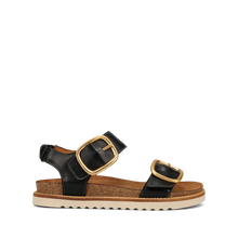 Load image into Gallery viewer, TAOS ON THE DOUBLE BLACK
