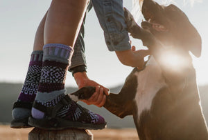 SOLMATE CREW SOCKS WISTERIA