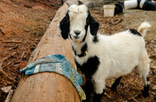 Load image into Gallery viewer, SOLMATE CREW SOCKS GOAT
