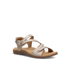 Load image into Gallery viewer, TAOS BIG TIME CHAMPAGNE
